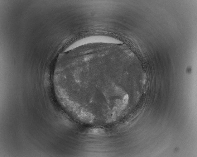 X0000116800220201001081341