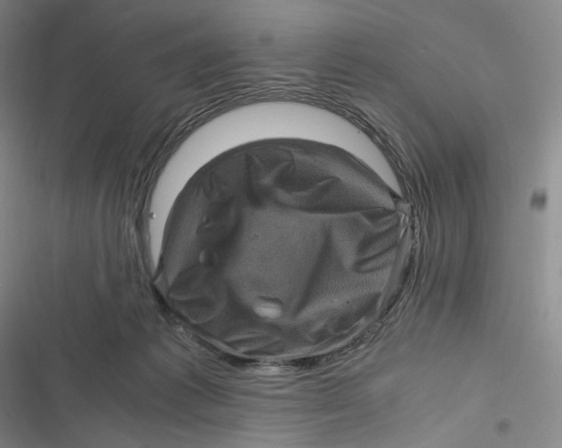 X0000116800221201001081341