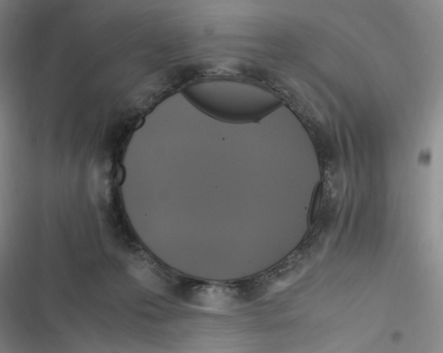 X0000116800223201001081341