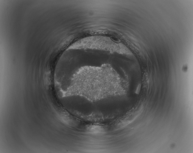 X0000116800224201001081341