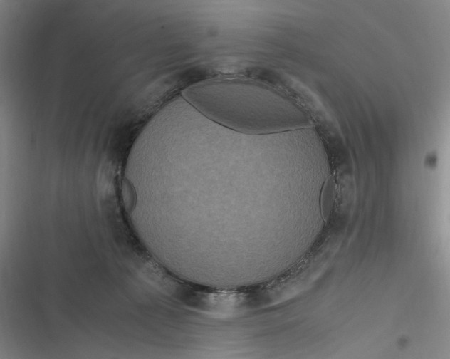 X0000116800225201001081341