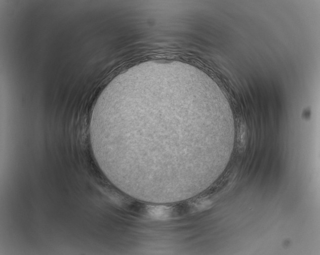 X0000116800226201001081341