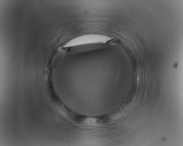 X0000116800227201001081341