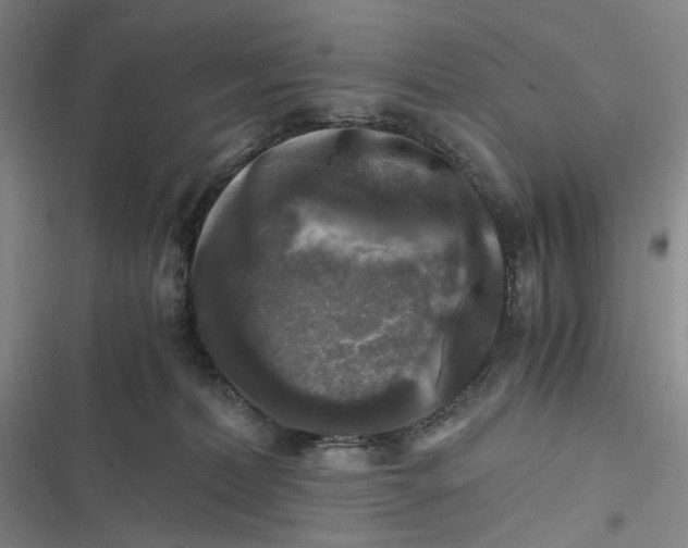 X0000116800228201001081341