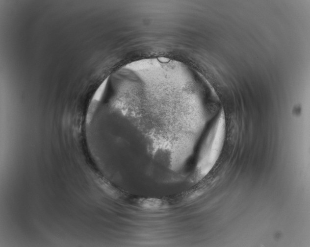 X0000116800230201001081341