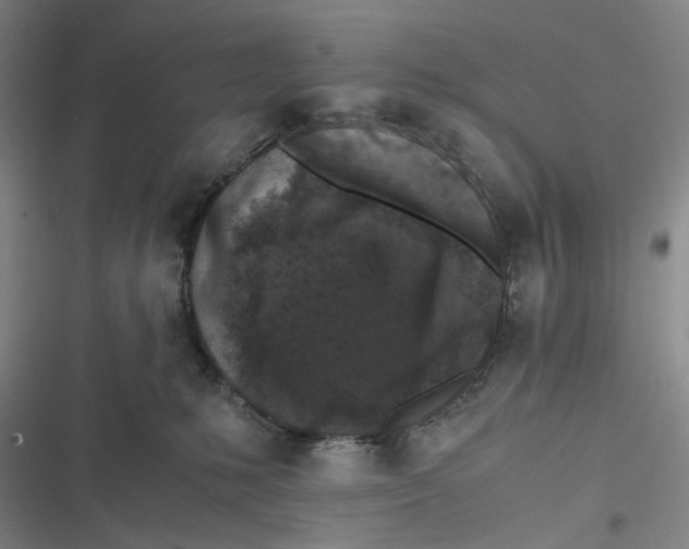 X0000116800231201001081341