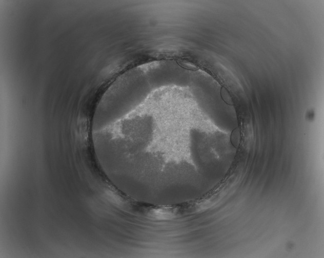 X0000116800232201001081341