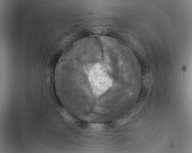X0000116800233201001081341