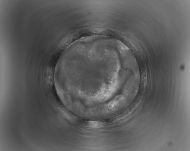 X0000116800234201001081341