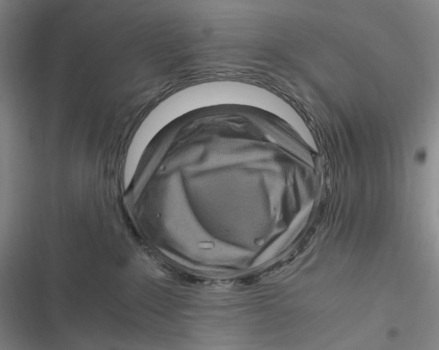 X0000116800235201001081341