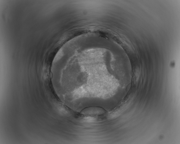 X0000116800236201001081341