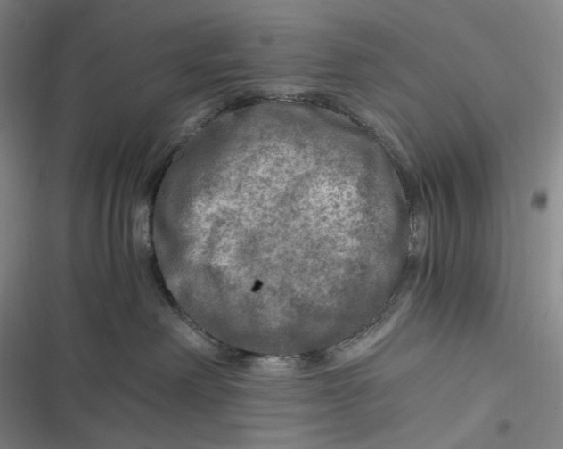 X0000116800238201001081341