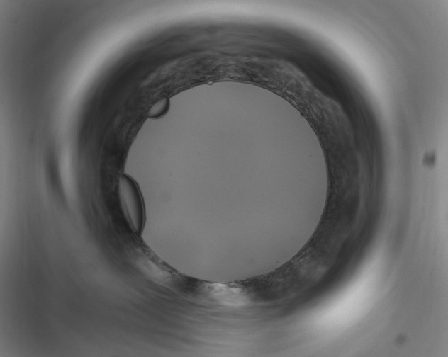 X0000116800239201001081341