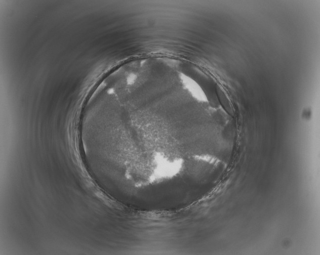 X0000116800241201001081340