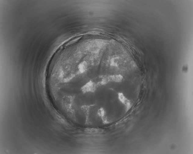 X0000116800242201001081340