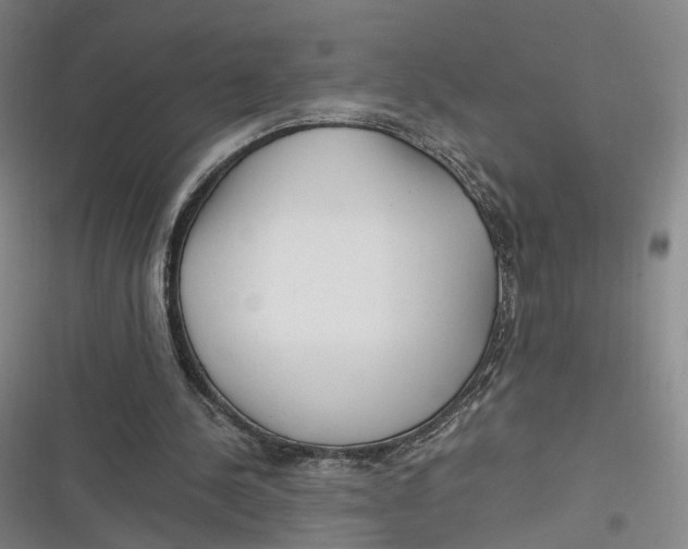 X0000116800244201001081340