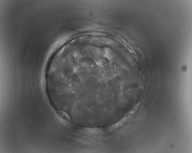 X0000116800245201001081340