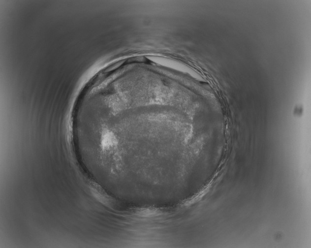 X0000116800246201001081340