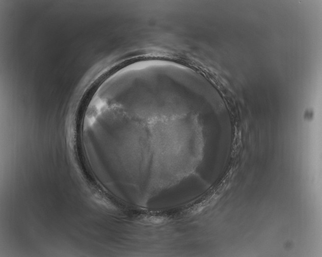 X0000116800247201001081340