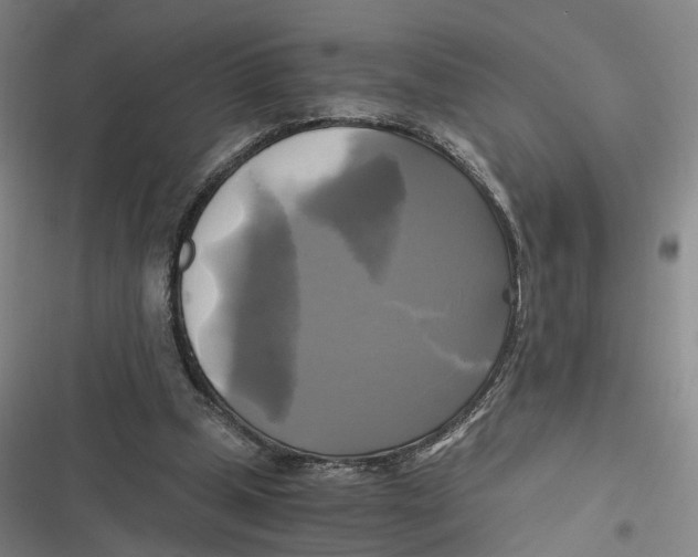 X0000116800249201001081340