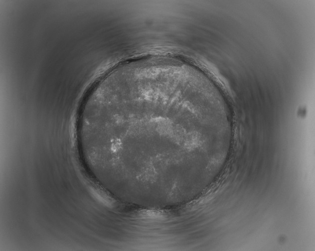 X0000116800250201001081340