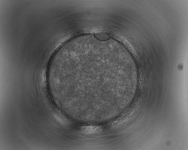 X0000116800251201001081340