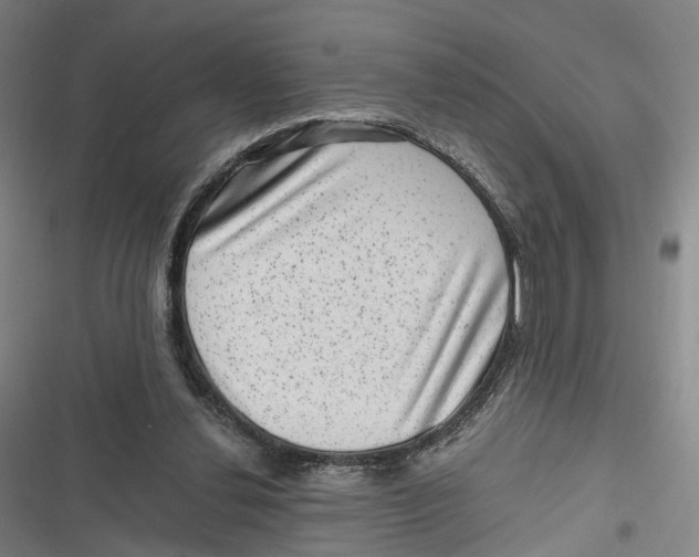 X0000116800252201001081340
