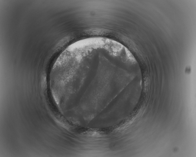 X0000116800254201001081340