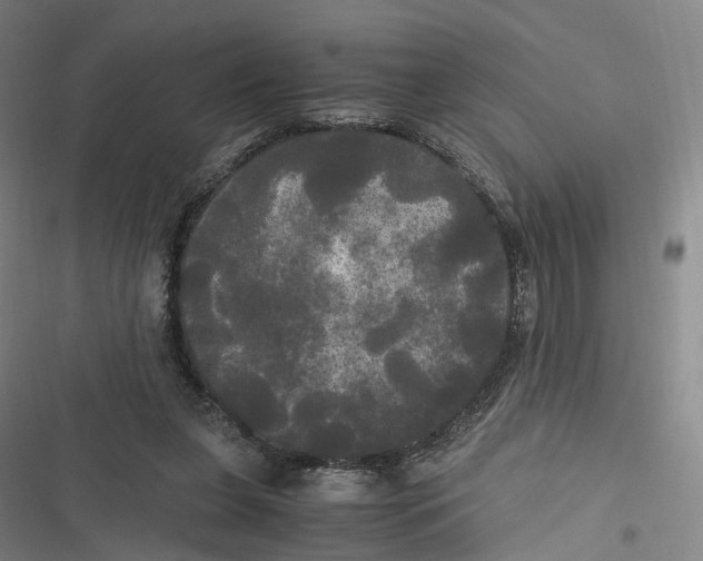 X0000116800255201001081340