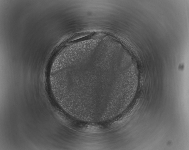 X0000116800256201001081340