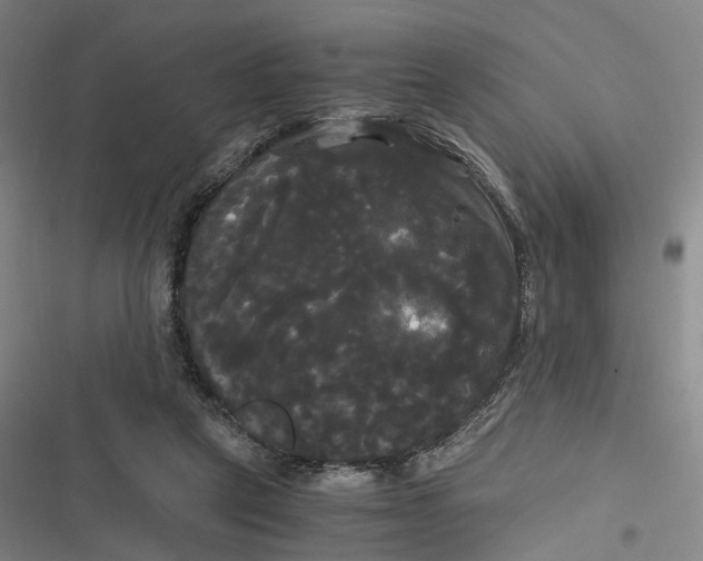 X0000116800257201001081340