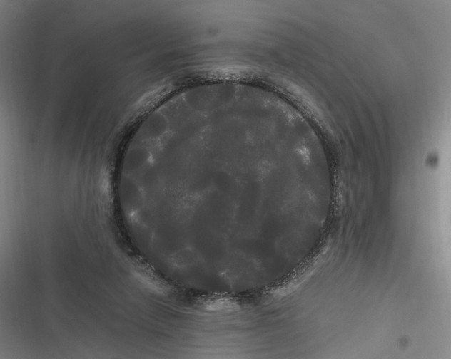 X0000116800258201001081340
