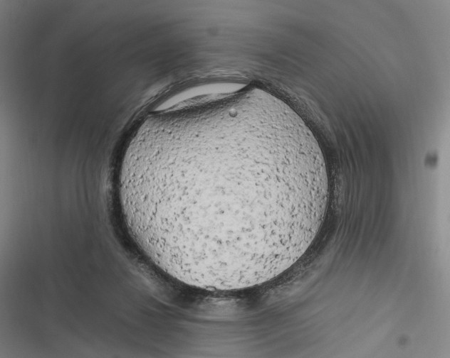 X0000116800260201001081340