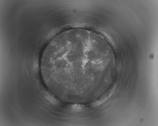 X0000116800261201001081340