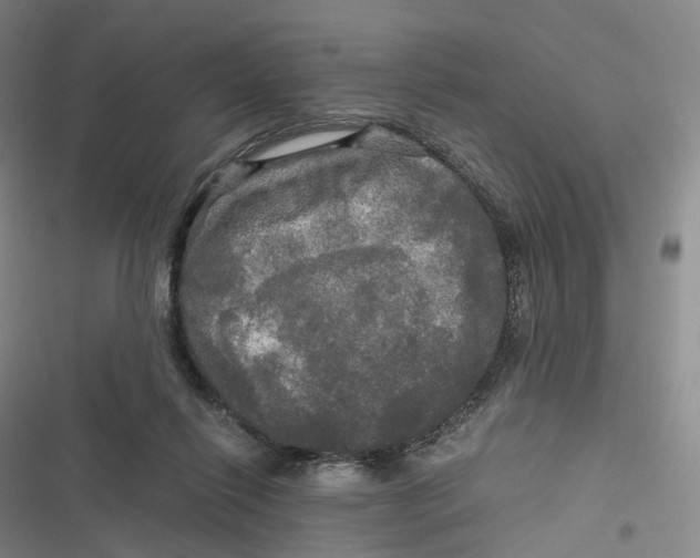 X0000116800262201001081340