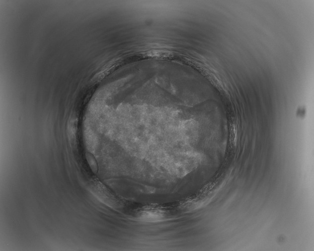 X0000116800263201001081340