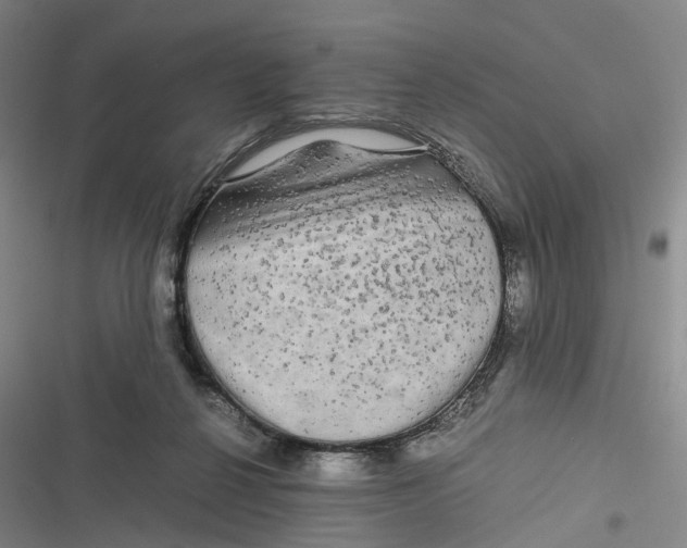 X0000116800264201001081340