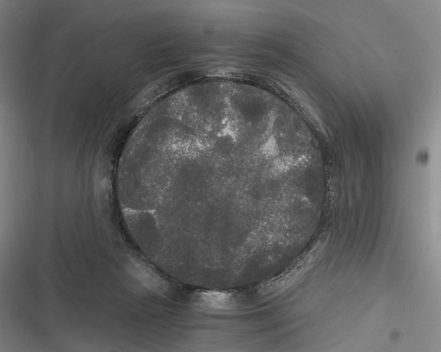 X0000116800265201001081340