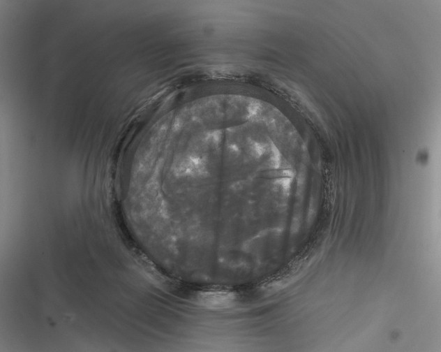 X0000116800266201001081340