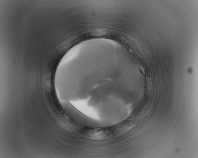 X0000116800267201001081340