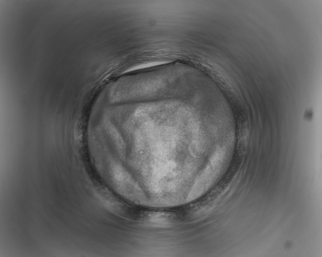 X0000116800268201001081340