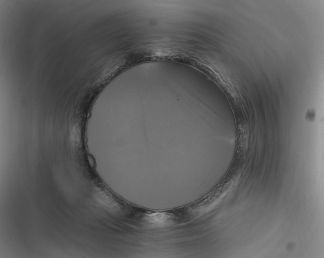 X0000116800269201001081340