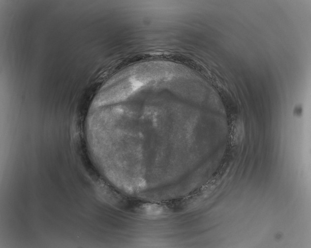 X0000116800272201001081341