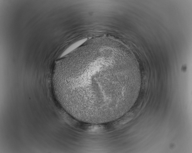 X0000116800274201001081341