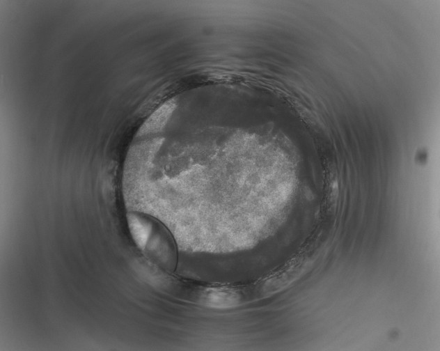 X0000116800275201001081341