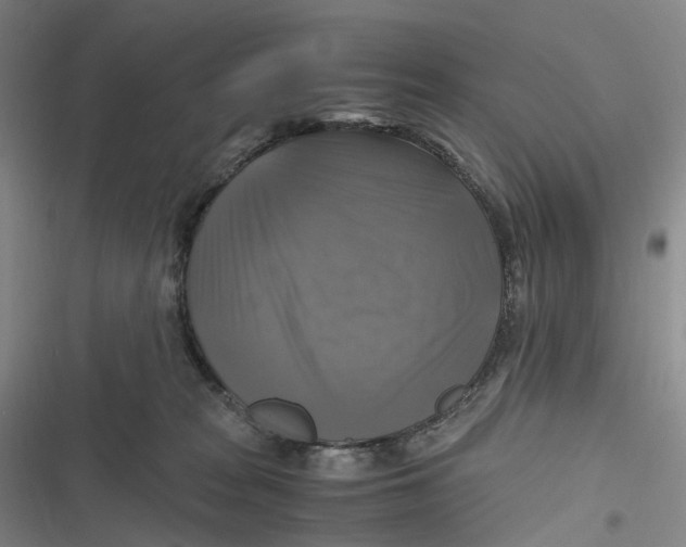 X0000116800277201001081341
