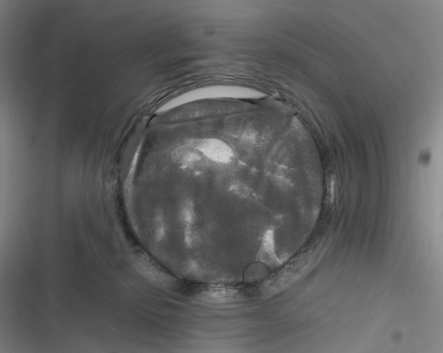 X0000116800278201001081341