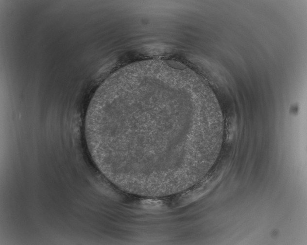 X0000116800279201001081341
