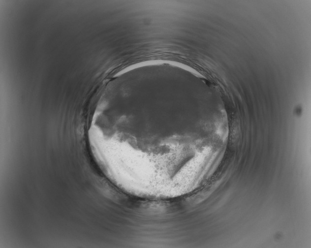 X0000116800282201001081341
