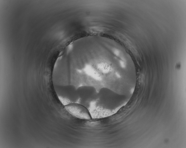 X0000116800283201001081341